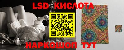 альфа пвп Новодвинск