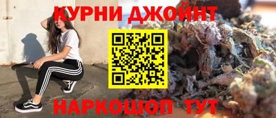 альфа пвп Новодвинск