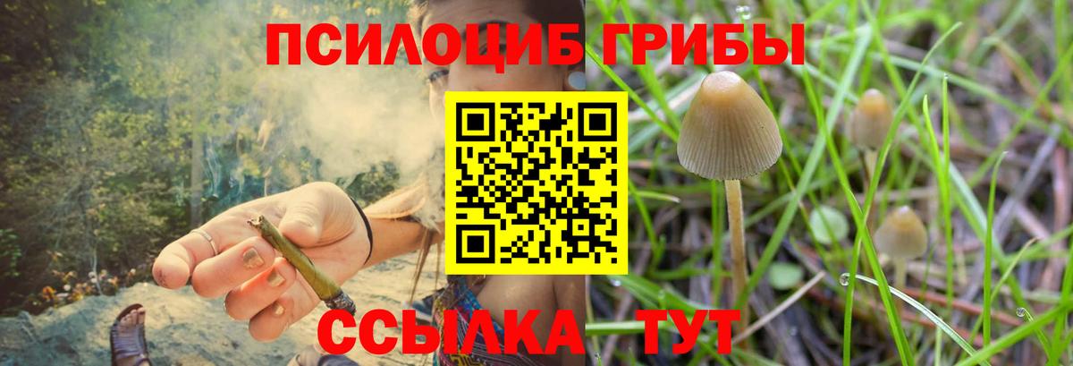 Серпухов  Псилоцибиновые грибы прущие грибы  Вход с VPN 